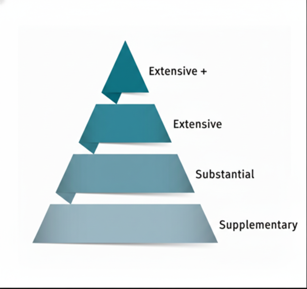 NCCD Adjustment Levels